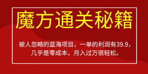 被人忽略的蓝海项目，魔方通关秘籍一单利润有39.9，几乎是零成本，月….-Xiaobei云