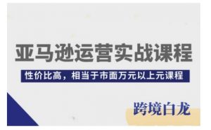 亚马逊运营实战课程,亚马逊从入门到精通,性价比高,相当于市面万元以上元课程-Xiaobei云