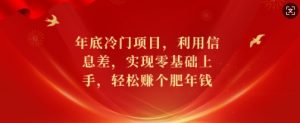 年底冷门项目，利用信息差，实现零基础上手，轻松赚个肥年钱【揭秘】-Xiaobei云