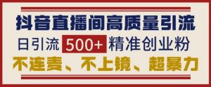 抖音直播间引流创业粉,无需连麦、不用上镜、超暴力,日引流500+高质量精准创业粉-Xiaobei云