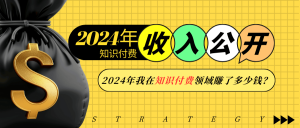 2024年知识付费收入大公开!2024年我在知识付费领域賺了多少钱?-Xiaobei云