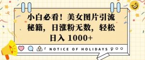小白必看,美女图片引流秘籍,日涨粉无数,轻松日入几张【揭秘】-Xiaobei云
