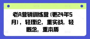老A营销训练营(更24年12月),轻理论,重实战,轻概念,重本质-Xiaobei云