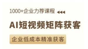 AI短视频矩阵获客实操课,企业低成本精准获客-Xiaobei云