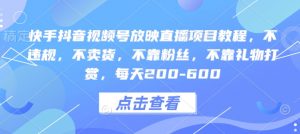 快手抖音视频号放映直播项目教程,不违规,不卖货,不靠粉丝,不靠礼物打赏,每天200-600-Xiaobei云