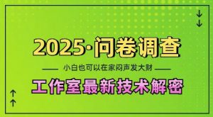 2025问卷调查最新工作室技术解密：一个人在家也可以闷声发大财，小白一天2张，可矩阵放大【揭秘】-Xiaobei云