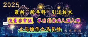最新“跨年群”引流,流量非常猛,单日引流两人满人群,立马操作立马见效【揭秘】-Xiaobei云