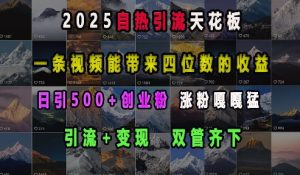 2025自热引流天花板,一条视频能带来四位数的收益,引流+变现双管齐下,日引500+创业粉,涨粉嘎嘎猛-Xiaobei云