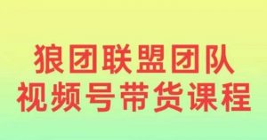 狼团联盟2024视频号带货,0基础小白快速入局视频号-Xiaobei云