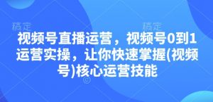 视频号直播运营，视频号0到1运营实操，让你快速掌握(视频号)核心运营技能-Xiaobei云