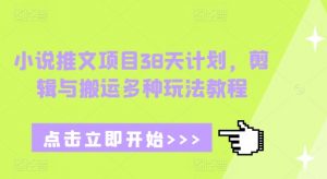 小说推文项目38天计划，剪辑与搬运多种玩法教程-Xiaobei云