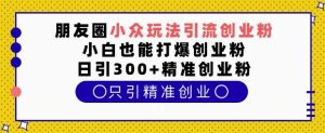 朋友圈小众玩法引流创业粉,小白也能打爆创业粉,日引300+精准创业粉【揭秘】-Xiaobei云