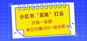 小红书“另类”打法,开局一张图,单日引爆500+精准创业粉【揭秘】-Xiaobei云