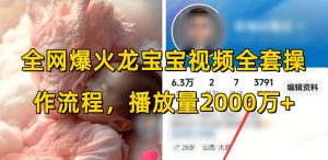 全网爆火龙宝宝视频全套操作流程，播放量2000万+-Xiaobei云