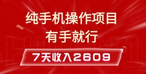 纯手机操作的小项目,有手就能做,7天收入2609+实操教程【揭秘】-Xiaobei云