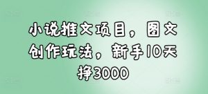 小说推文项目，图文创作玩法，新手10天挣3000-Xiaobei云