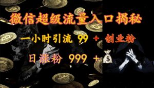 微信超级流量入口揭秘：一小时引流 99 + 创业粉，日涨粉 999 +-Xiaobei云