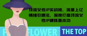 顶流女性IP实战班，流量上亿情绪引爆法，深度打磨顶流女性IP硬核基本功-Xiaobei云