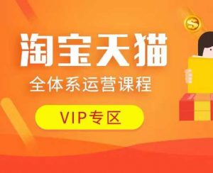 淘宝天猫全体系运营课程：店铺全系运营、动销玩法、付费推广、流量提升、擦边球玩法等等-Xiaobei云