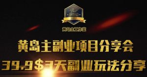 黄岛主副业分享会1期:3天3个副业玩法,速度上车-Xiaobei云