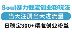 Soul暴力截流创业粉玩法，当天注册当天进流量，日稳定300+精准创业粉丝-Xiaobei云