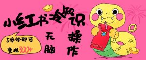 小红书冷知识账号，无脑复制粘贴，5分钟即可变现3张-Xiaobei云