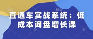 直通车实战系统:低成本询盘增长课,让个人通过技能实现升职加薪,让企业低成本获客,订单源源不断-Xiaobei云