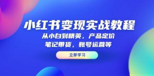小红书变现实战教程：从小白到精英，产品定价，笔记带货，账号运营等-Xiaobei云