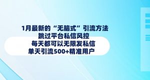 1月最新的无脑式引流方法，跳过平台私信风控，每天都可以无限发私信，单天引流500+精准用户-Xiaobei云