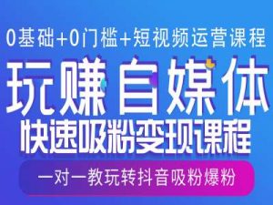 0基础+0门槛+短视频运营课程,玩赚自媒体快速吸粉变现课程,一对一教玩转抖音吸粉爆粉-Xiaobei云