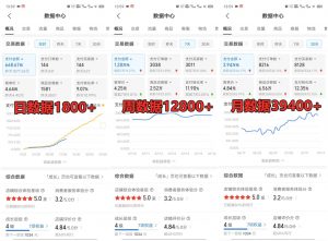 拼多多虚拟店铺项目，电脑挂机自动发货，单店日利润300+-Xiaobei云