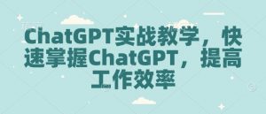 ChatGPT实战教学，快速掌握ChatGPT，提高工作效率-Xiaobei云