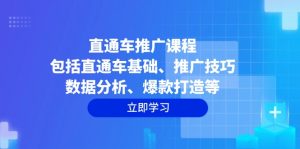 直通车推广课程：包括直通车基础、推广技巧、数据分析、爆款打造等-Xiaobei云