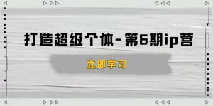 打造 超级个体-第6期ip营:商业认知,产品设计,成交演练,解决知识变现难题-Xiaobei云