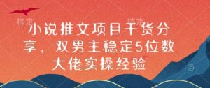 小说推文项目干货分享,双男主稳定5位数大佬实操经验-Xiaobei云