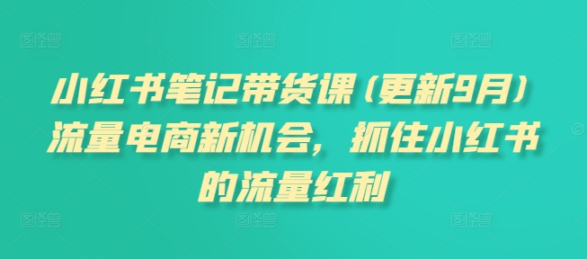 小红书笔记带货课(更新25年1月)流量电商新机会，抓住小红书的流量红利-Xiaobei云