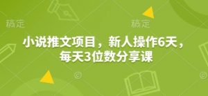 小说推文项目,新人操作6天,每天3位数分享课-Xiaobei云