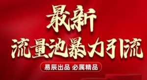 最新“流量池”无门槛暴力引流(全网首发)日引500+-Xiaobei云