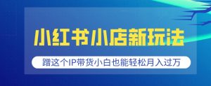 小红书小店新玩法，蹭这个IP带货，小白也能轻松月入过W【揭秘】-Xiaobei云