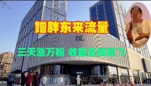 蹭胖东来流量,三天涨万粉,收益直接起飞-Xiaobei云