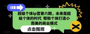 超级个体ip营第六期，未来是超级个体的时代  帮助个体打造小而美的商业模式-Xiaobei云