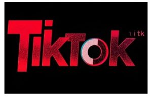 TikTok ads投流秘籍,涵盖tiktok整体投放思路,教你搭建测试计划-Xiaobei云