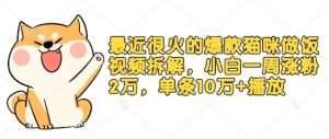 最近很火的爆款猫咪做饭视频拆解，小白一周涨粉2万，单条10万+播放(附保姆级教程)-Xiaobei云