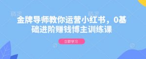 金牌导师教你运营小红书,0基础进阶赚钱博主训练课-Xiaobei云