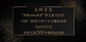 小红书神奇图片引流法，只需一张图，就能单条笔记凭借此方法，轻松引流 300 + 精准创业粉-Xiaobei云
