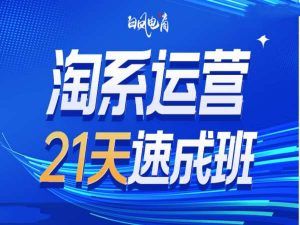 淘系运营21天速成班35期,年前最后一波和2025方向-Xiaobei云