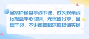全案IP操盘手线下课，成为现象级ip操盘手必修课，无保留分享，全是干货，不讲废话超深度培训实操-Xiaobei云
