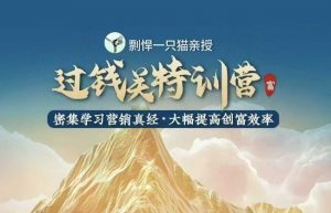 剽悍一只猫-过钱关特训营,学习营销真经 大幅度提高创富效率-Xiaobei云