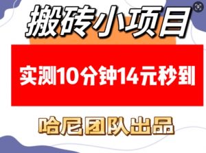 搬砖小项目,实测10分钟14元秒到,每天稳定几张(赠送必看稳定)-Xiaobei云