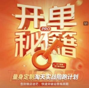 淘宝开单秘籍PRO,量身定制淘天实战陪跑计划,告别做店迷茫、快速突破运营瓶颈期-Xiaobei云